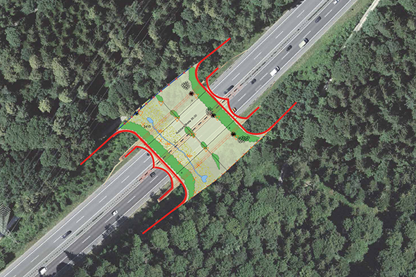 Autobahn A1 Wildtierbrücke Rynetel Suhr